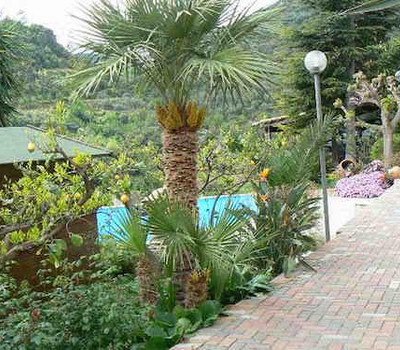 SCHEDA IMMOBILE - Rif.&nbsp;5876